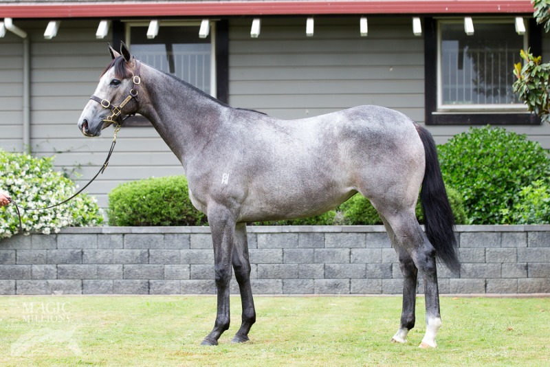 Reliable Man (GB) / Rosey Dane (AUS) - photo 1