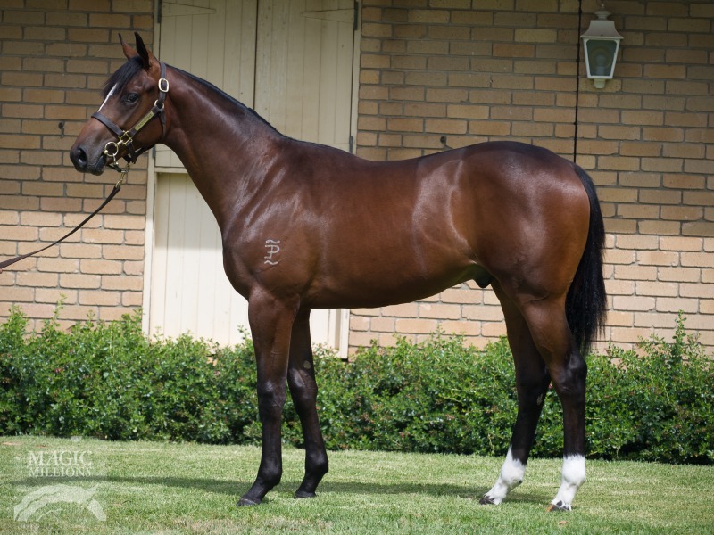 Harbour Watch (IRE) / Salma (AUS) - photo 1