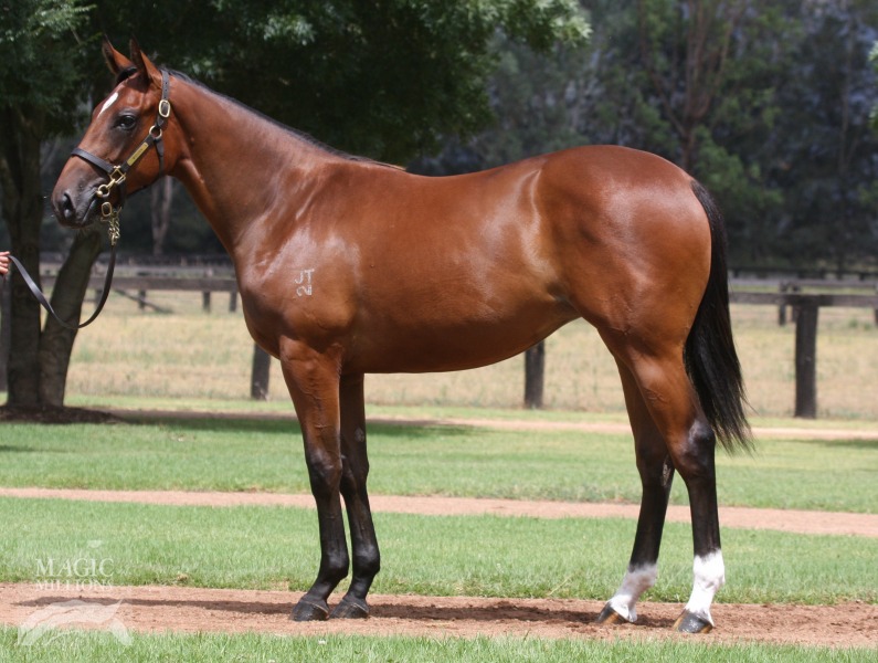 Just Gorgeous (AUS) - photo 1