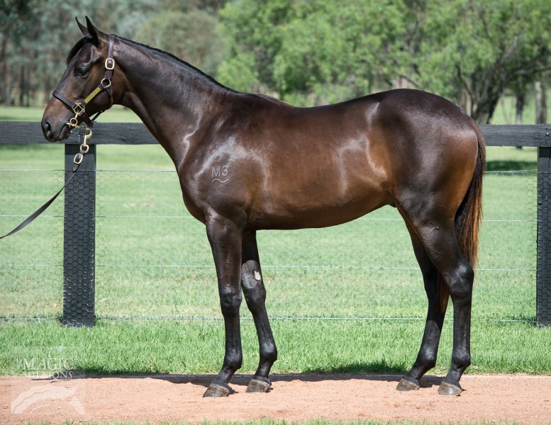 All Too Hard (AUS) / Scenario (GB) - photo 1