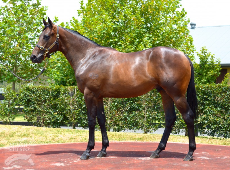 Fastnet Rock (AUS) / Sidereus Nuncius (AUS) - photo 1