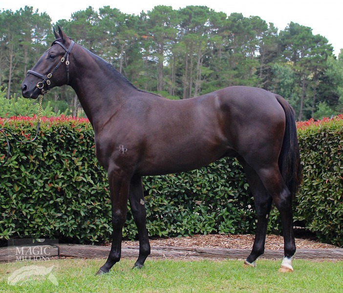 Sebring (AUS) / Sky Risks (FR) - photo 1