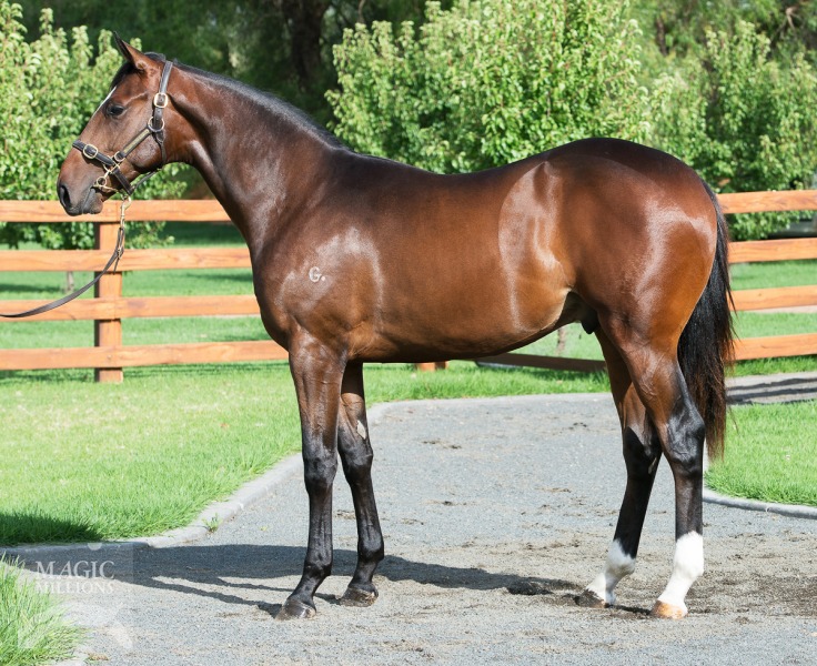 Smart Missile (AUS) / Special Melody (AUS) - photo 1