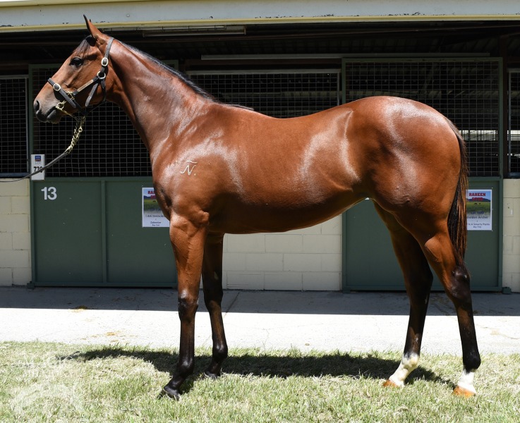 Commands (AUS) / Stepping (AUS) - photo 1