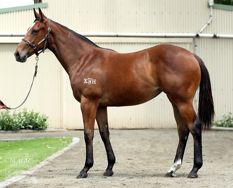 Pierro (AUS) / Steps To The Beat (AUS) - photo 1