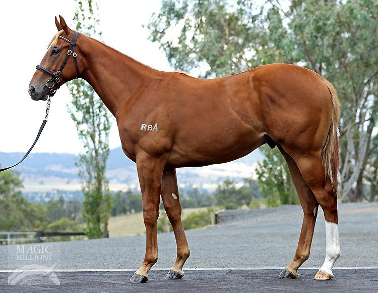 Choisir (AUS) / Street Sign (USA) - photo 1