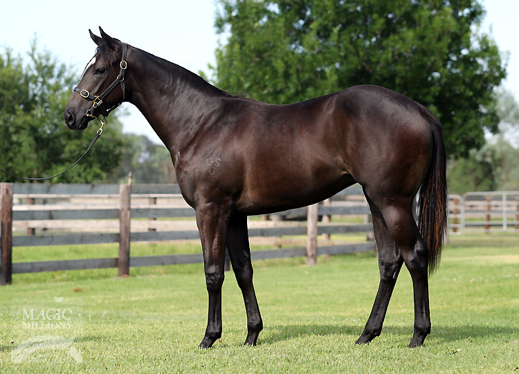 Smart Missile (AUS) / Strictly Personal (AUS) - photo 1