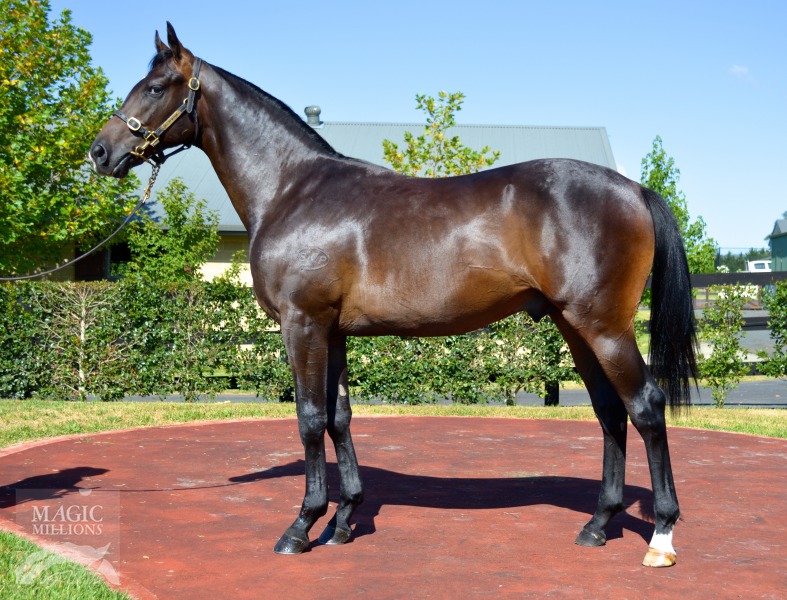 Smart Missile (AUS) / Sun Maid (AUS) - photo 1