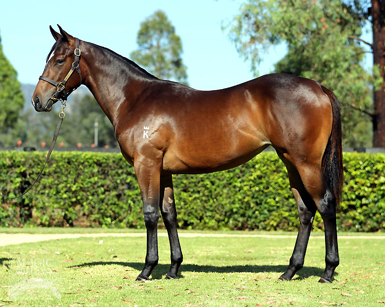 Problem Solver (AUS) - photo 1