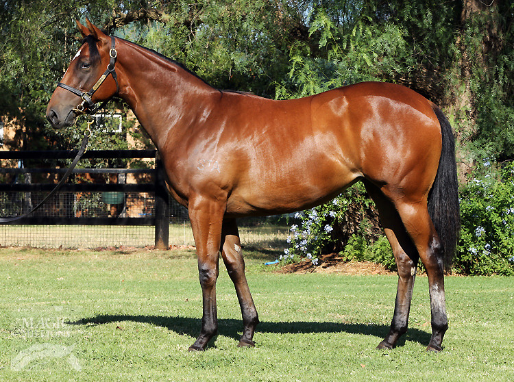 Cash in Transit (AUS) - photo 1