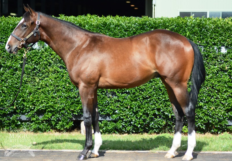 Real Saga (AUS) / Ten Eighty (NZ) - photo 1