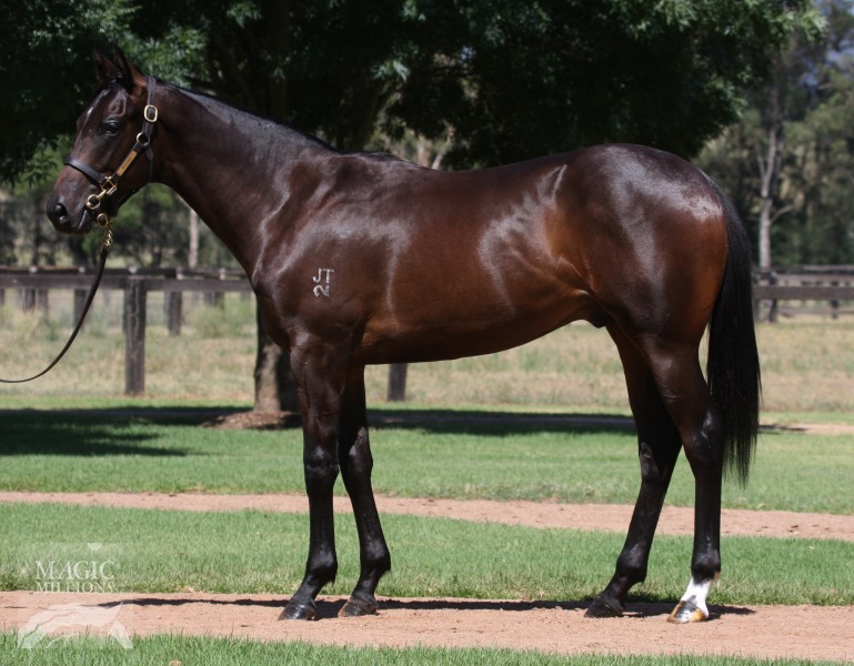 Your Song (AUS) / That's Amore (AUS) - photo 1