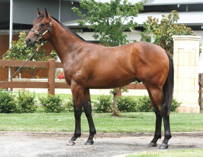 All Too Hard (AUS) / There's Only One (AUS) - photo 1