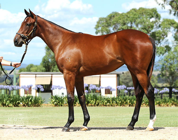 Smart Missile (AUS) / Thunder Belle (AUS) - photo 1