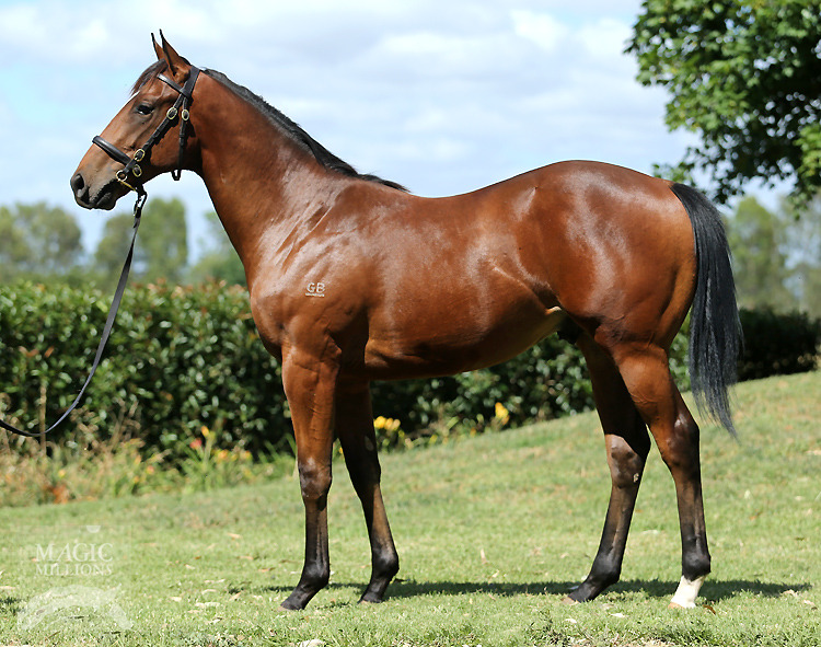 Commandeering (AUS) - photo 1