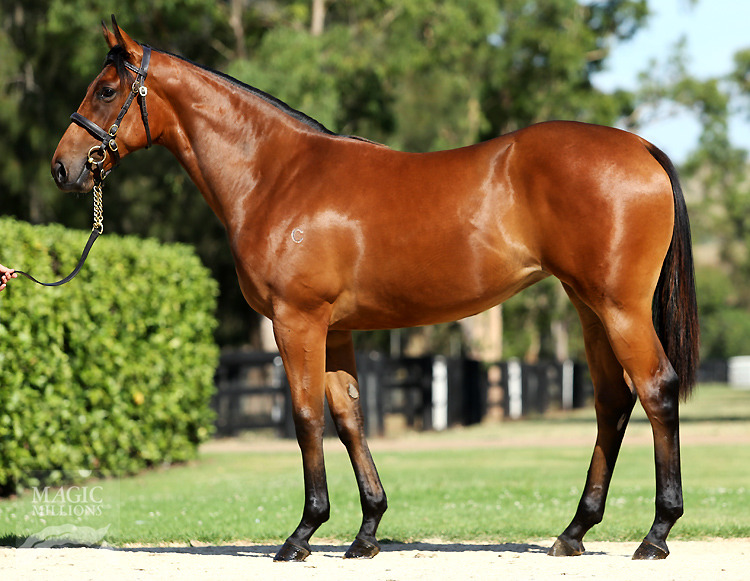 Fasten Up (AUS) - photo 1