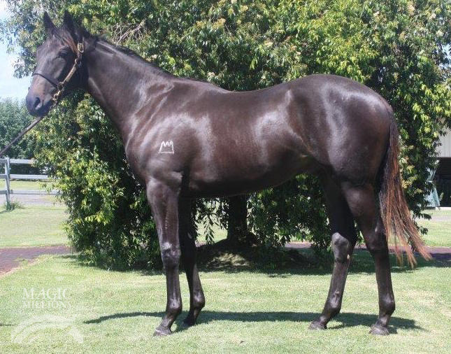 Love Conquers All (AUS) / Vassar (AUS) - photo 1