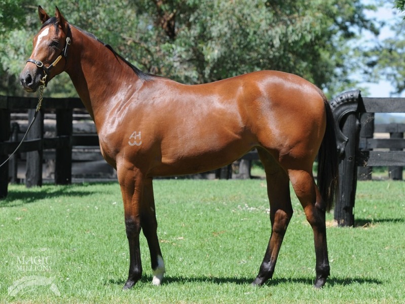 Stratum (AUS) / Venture (AUS) - photo 1