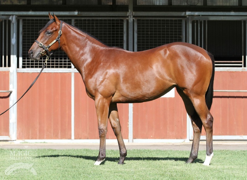 Stryker (AUS) / Voltdanze (AUS) - photo 1