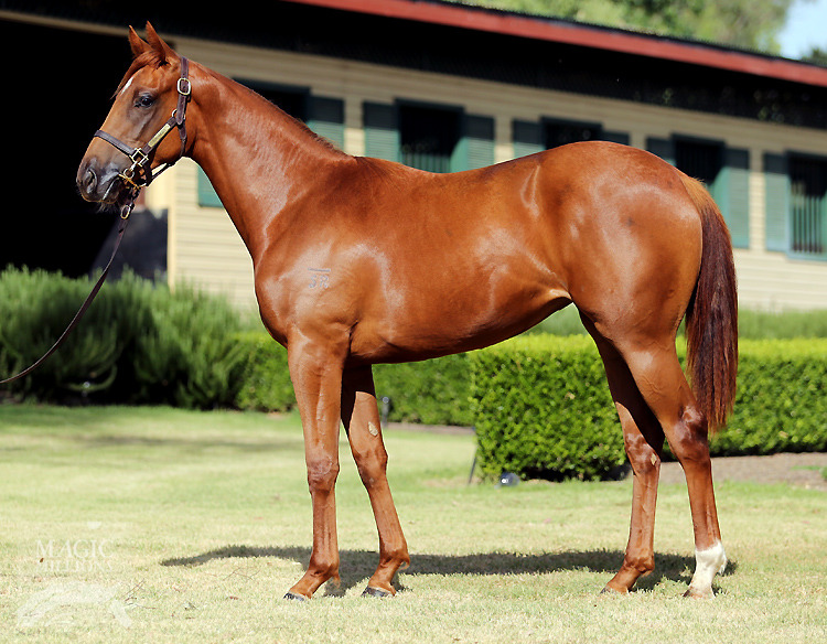 Encosta De Lago (AUS) / Who's Lucky (AUS) - photo 1