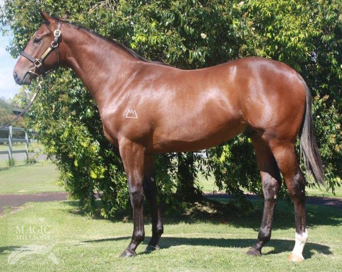 Statue Of Liberty (USA) / Wonderer (AUS) - photo 1