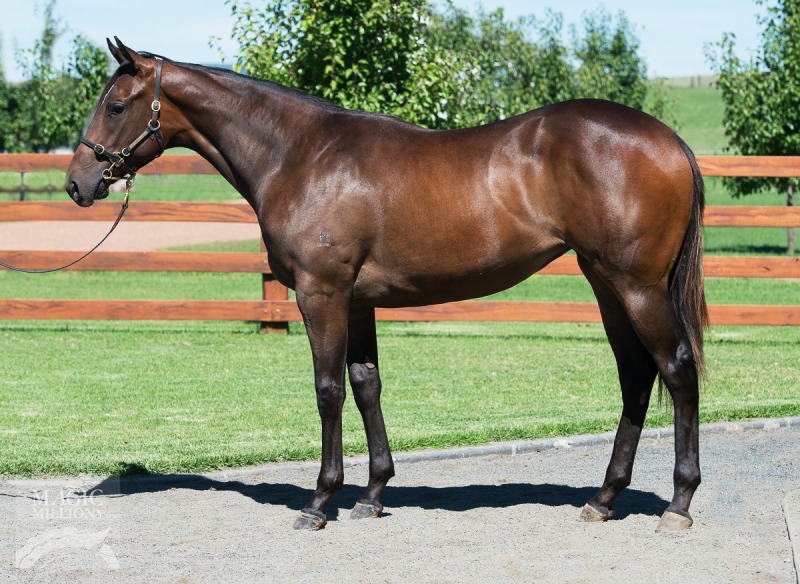 Belle Xaar (AUS) - photo 1