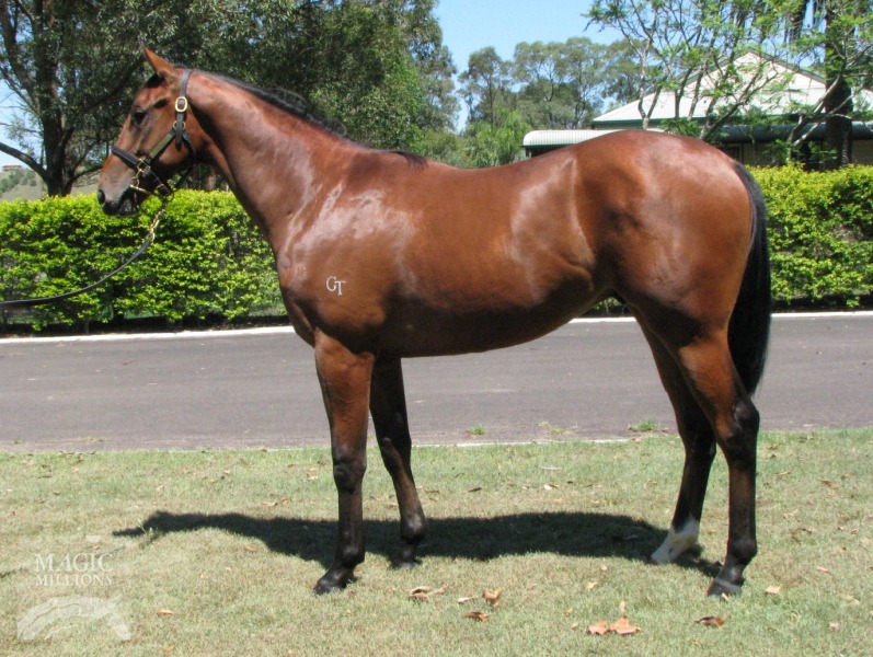 Sebring (AUS) / Kabuki Doll (AUS) - photo 1