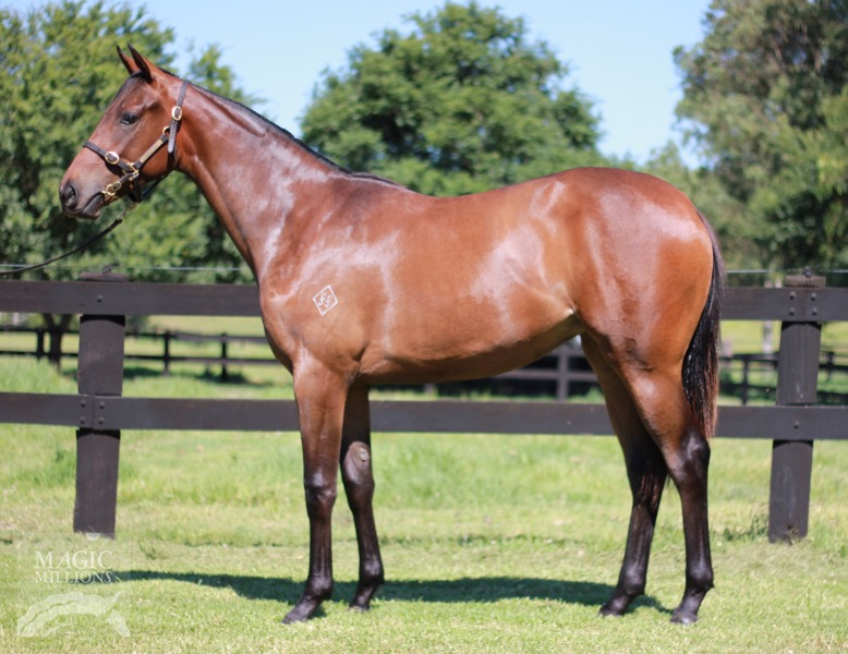 I Am Invincible (AUS) / Lady Charlotte (AUS) - photo 1