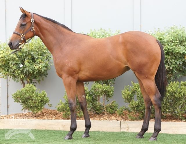 I Am Invincible (AUS) / Lucys Loot (AUS) - photo 1