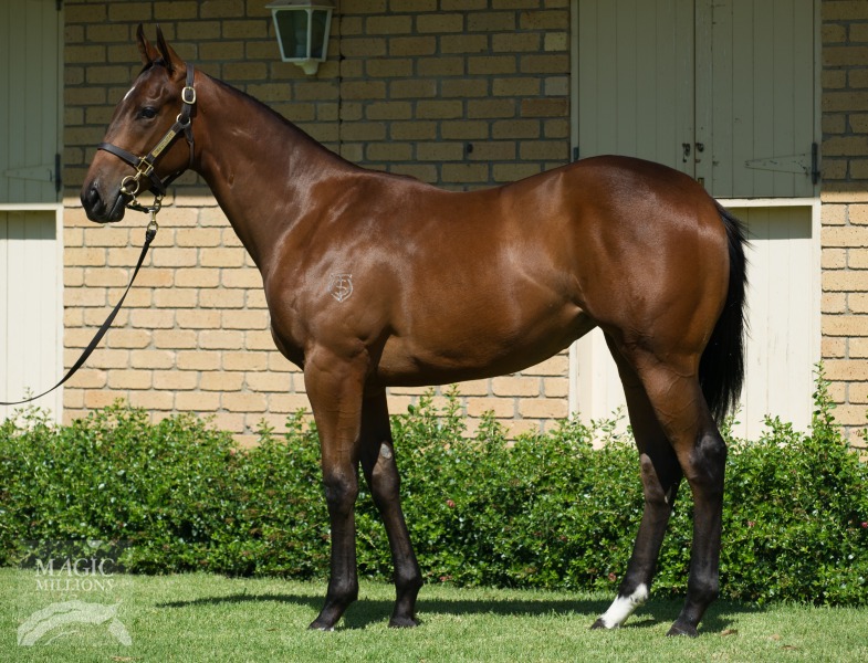 I Am Invincible (AUS) / Mercia (AUS) - photo 1