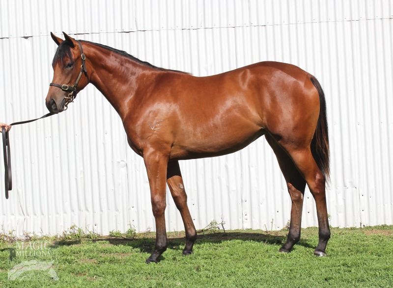 I Am Invincible (AUS) / Miss Chaos (NZ) - photo 1