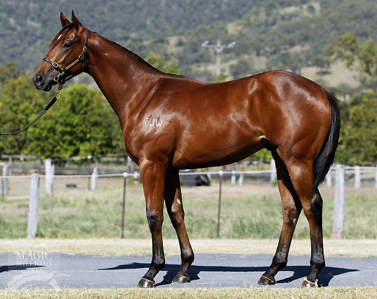 Delago Deluxe (AUS) / Mount Juliet (NZ) - photo 1