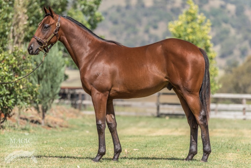 I Am Invincible (AUS) / Nachtanz's Secret (AUS) - photo 1