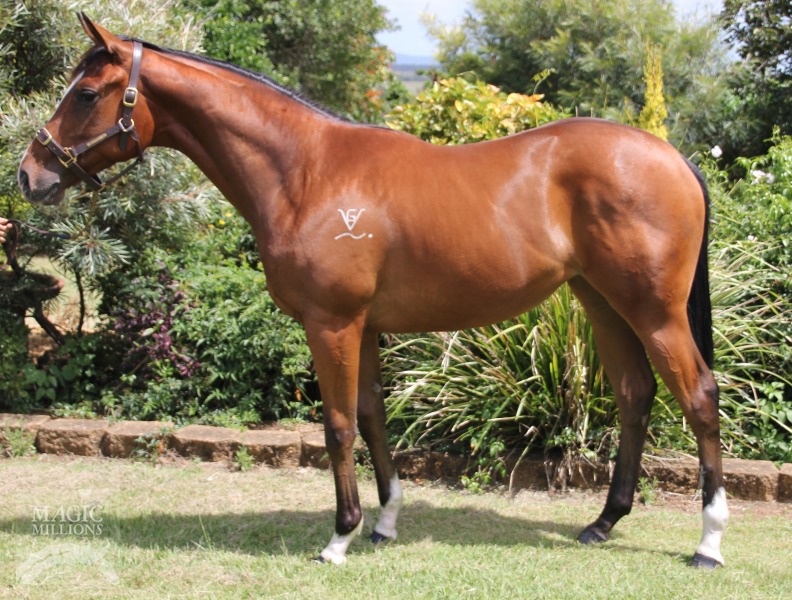 Scarlet's Smile (AUS) - photo 1