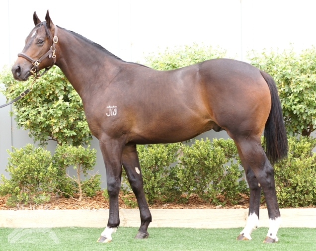 Stratum (AUS) / Pan's Flute (AUS) - photo 1