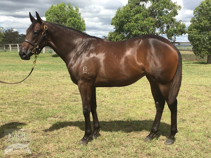 Your Song (AUS) / Pricey (AUS) - photo 1