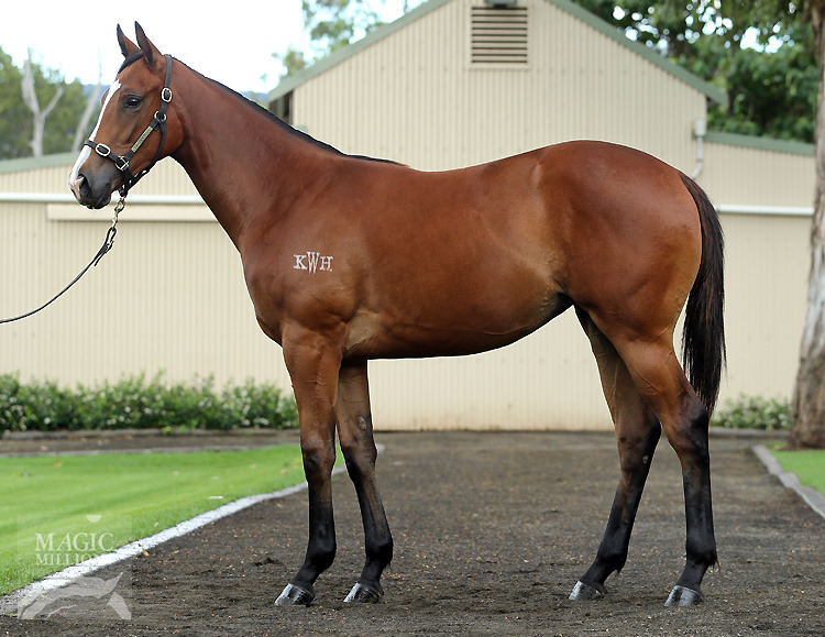 Duporth (AUS) / Queenin Caper (AUS) - photo 1