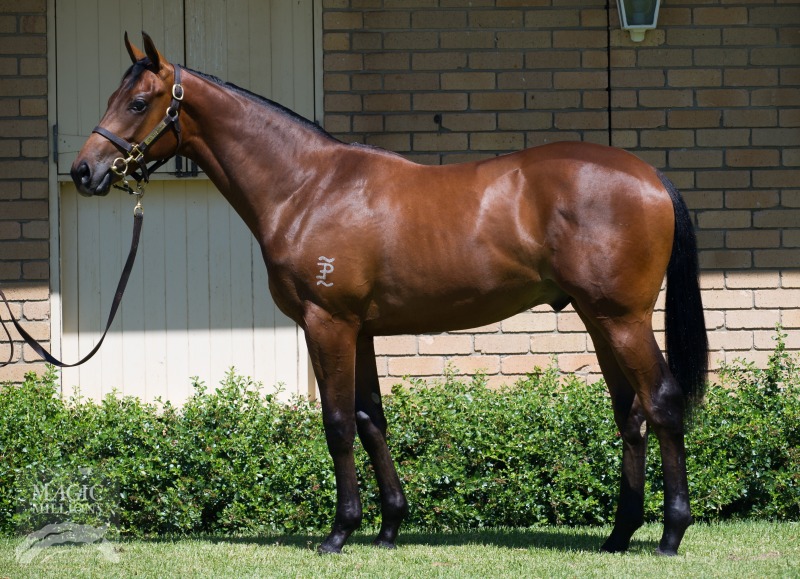 I Am Invincible (AUS) / Salila (IRE) - photo 1