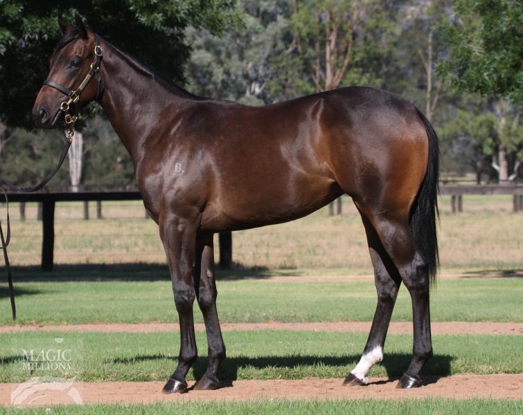 Your Song (AUS) / Search For Fame (AUS) - photo 1