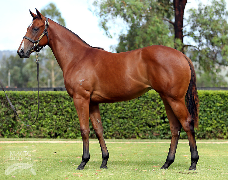 I Am Invincible (AUS) / Set to Unleash (AUS) - photo 1