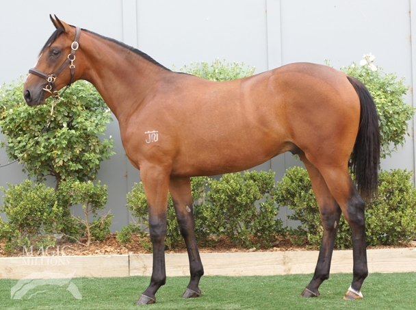 Bullet Train (GB) / Shanghai Sally (AUS) - photo 1