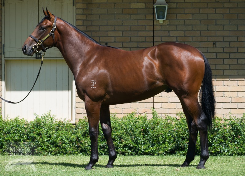 Falcon Island (AUS) - photo 1