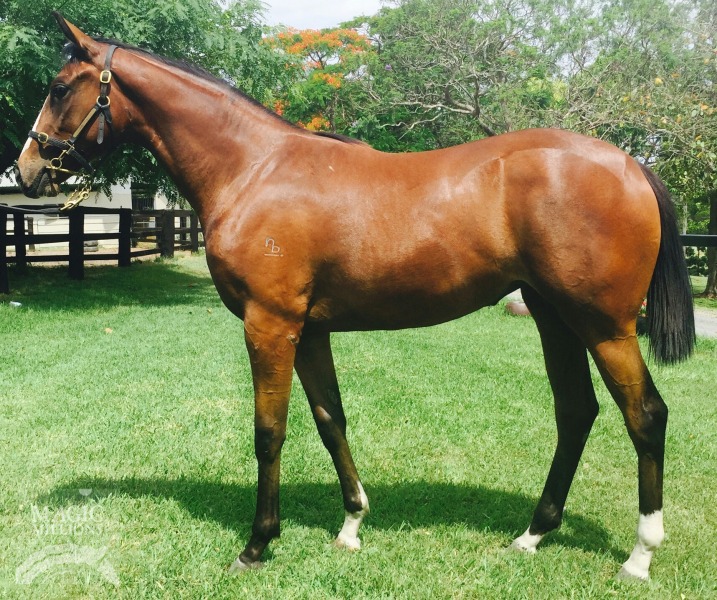 Two Hearts (AUS) - photo 1