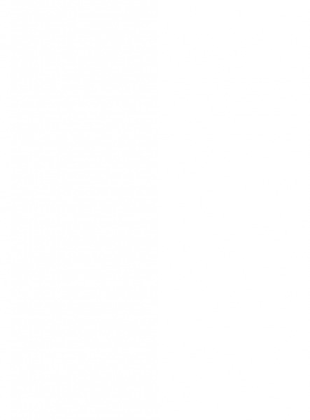 Denman (AUS) / Valentine Rose (NZ) - photo 1