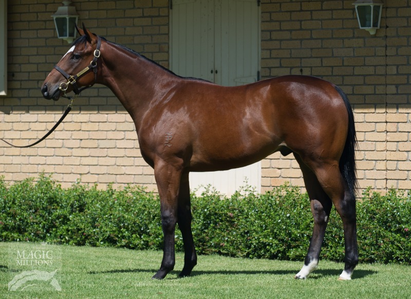 Harbour Watch (IRE) / Viator (AUS) - photo 1