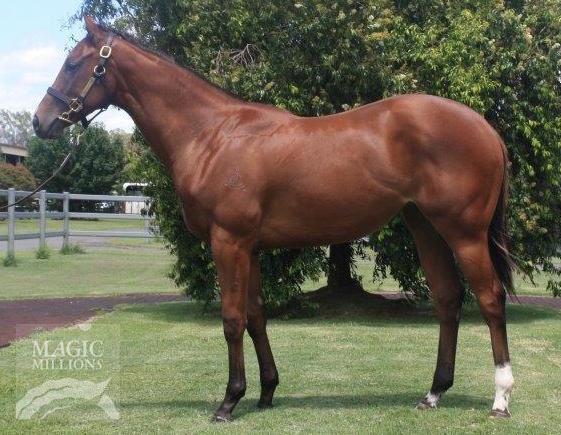 I Am Invincible (AUS) / Winaura (AUS) - photo 1