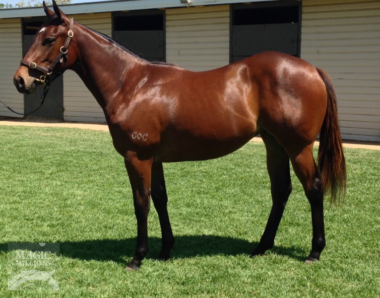 Rhythm of Light (AUS) - photo 1