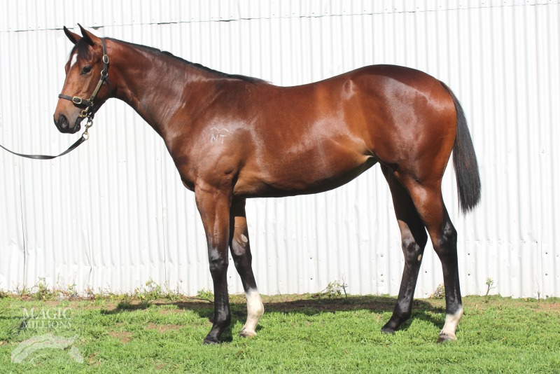 Stratum (AUS) / Wynyard Hall (AUS) - photo 1