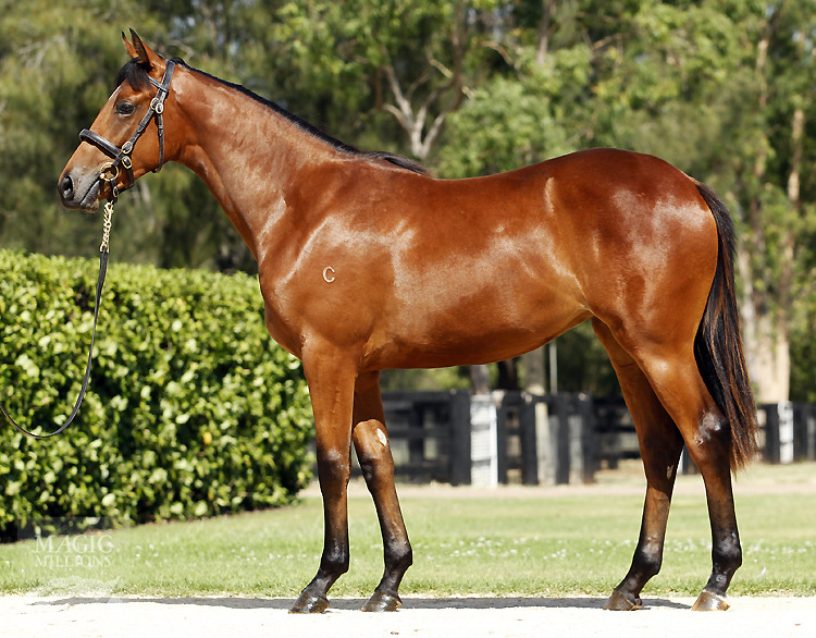 Poetic Diva (AUS) - photo 1