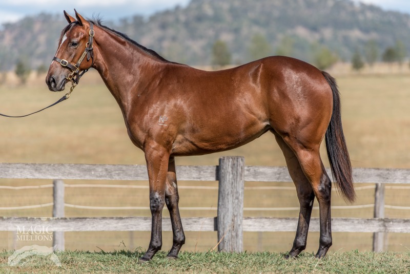 Charge Forward (AUS) / Arrogantly (AUS) - photo 1